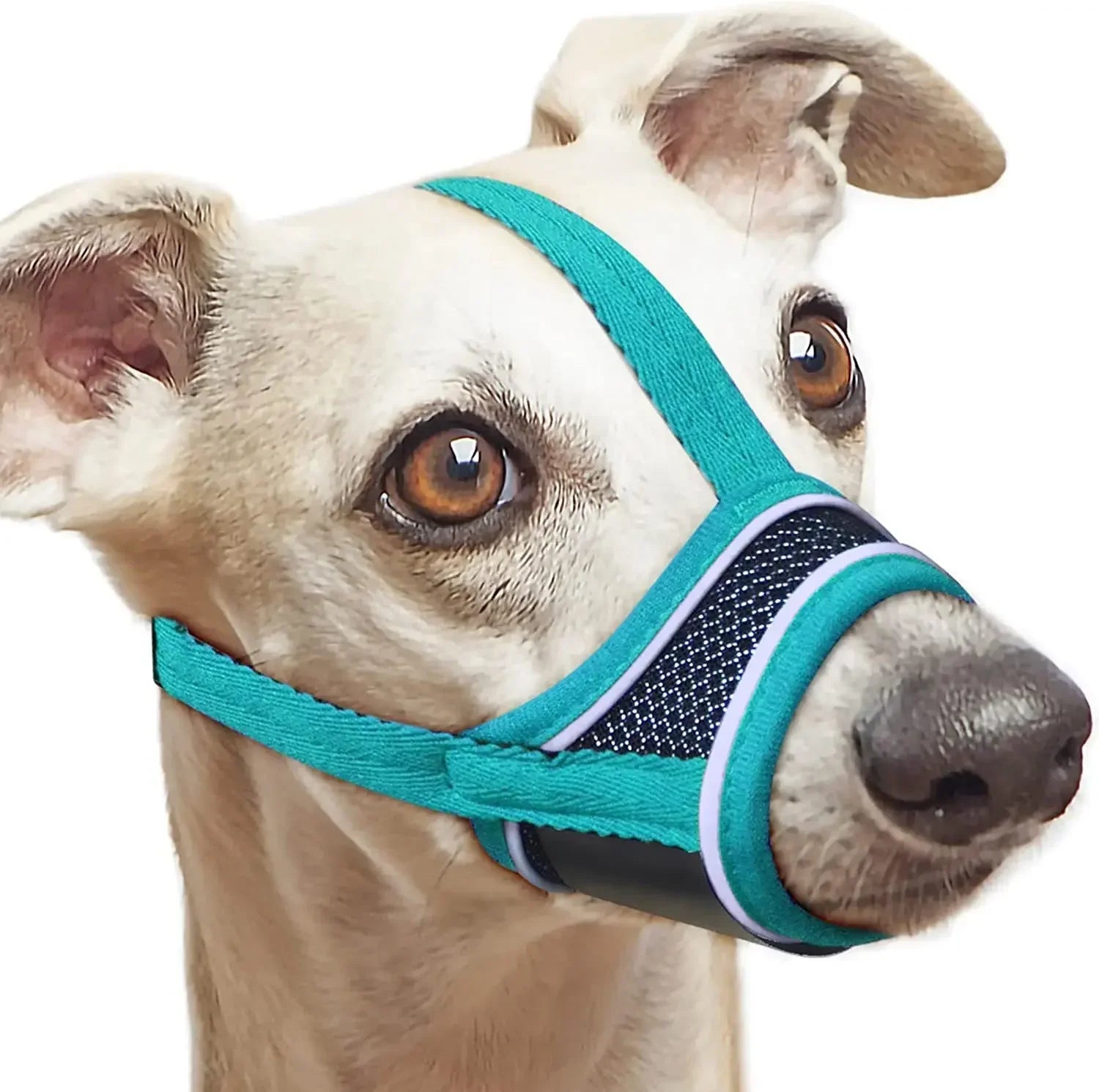 Honden Muilkorf met Reflecterend Nylon - Duke & Scoop
