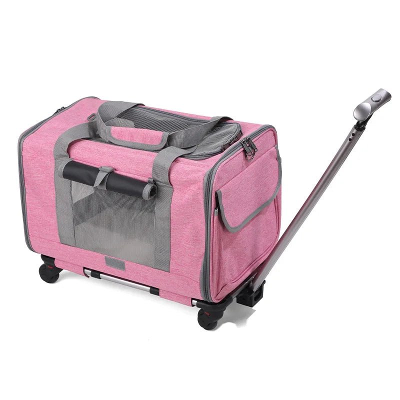 Hondenbuggy & Hondenkar – Opvouwbare Kinderwagen voor Huisdieren - Duke & Scoop