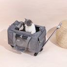 Hondenbuggy & Hondenkar – Opvouwbare Kinderwagen voor Huisdieren - Duke & Scoop