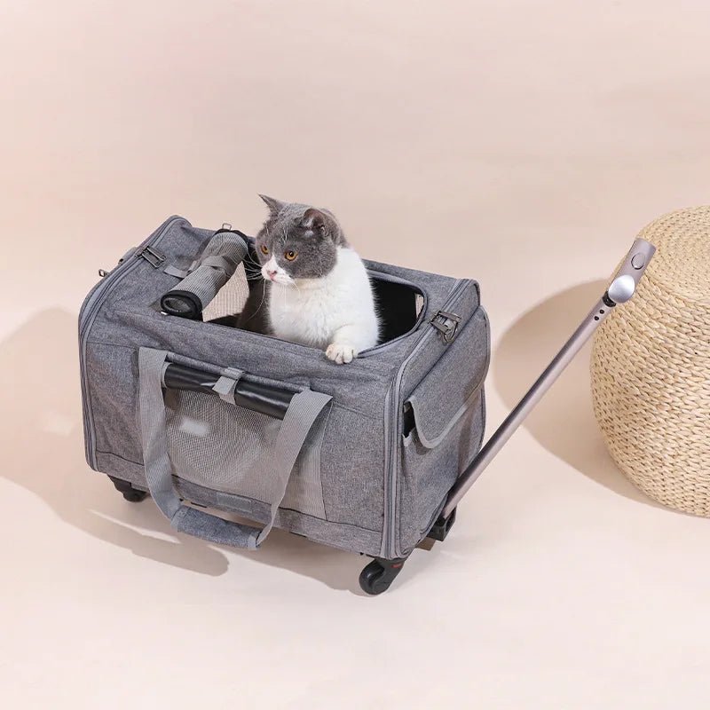 Hondenbuggy & Hondenkar – Opvouwbare Kinderwagen voor Huisdieren - Duke & Scoop