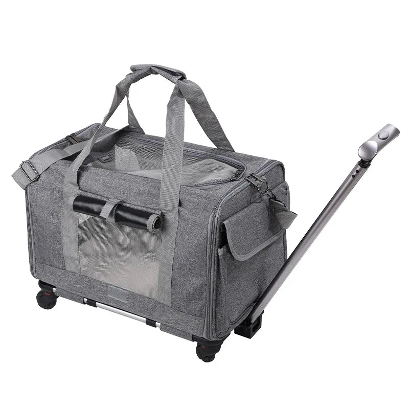 Hondenbuggy & Hondenkar – Opvouwbare Kinderwagen voor Huisdieren - Duke & Scoop
