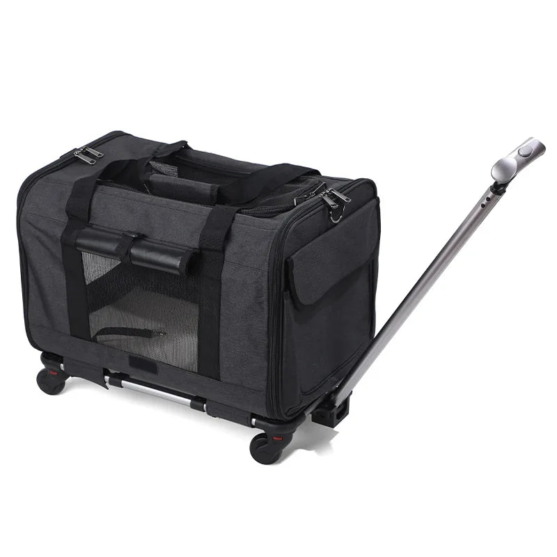 Hondenbuggy & Hondenkar – Opvouwbare Kinderwagen voor Huisdieren - Duke & Scoop