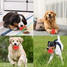 Hondenspeeltje Aardbei – Snackbal - Duke & Scoop