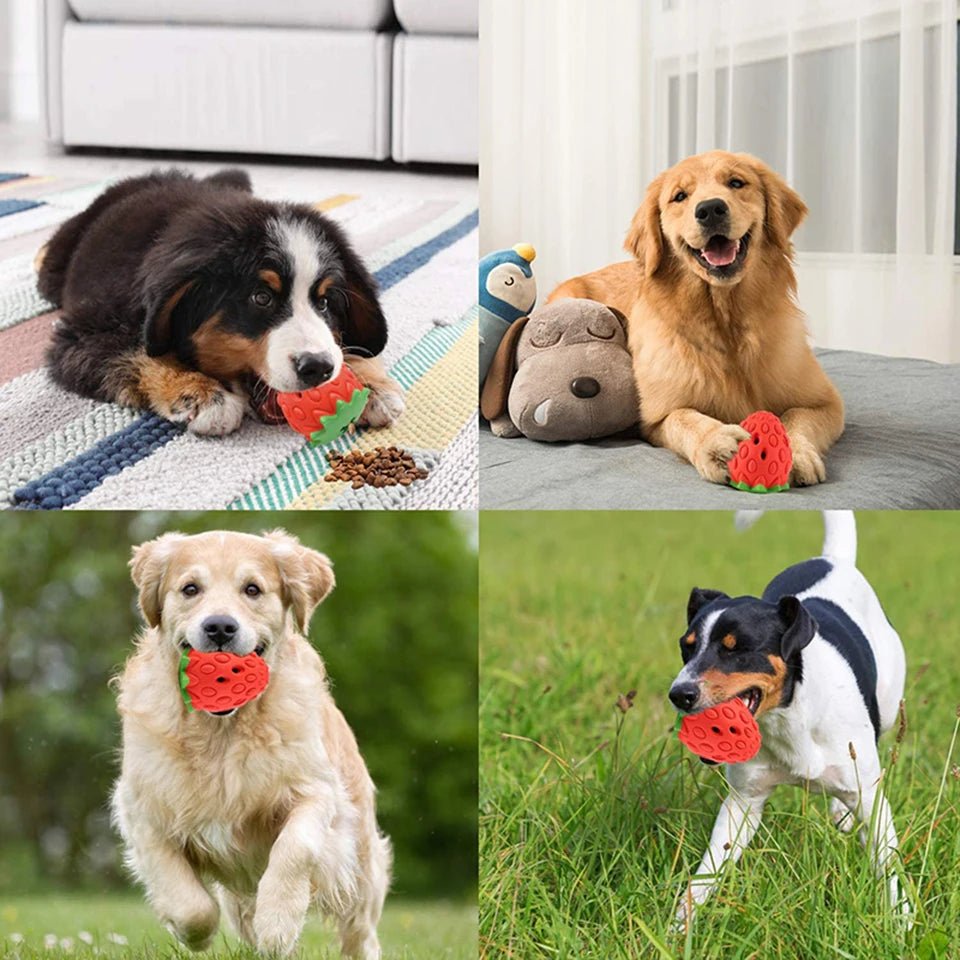 Hondenspeeltje Aardbei – Snackbal - Duke & Scoop