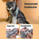 Hondentuig Ademend Hondenharnas – Verstelbaar Tuigje Voor Katten & Honden - Duke & Scoop