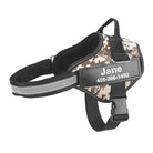 Hondentuig Gepersonaliseerd Reflecterend – Verstelbaar Nylon Hondenharnas - Duke & Scoop