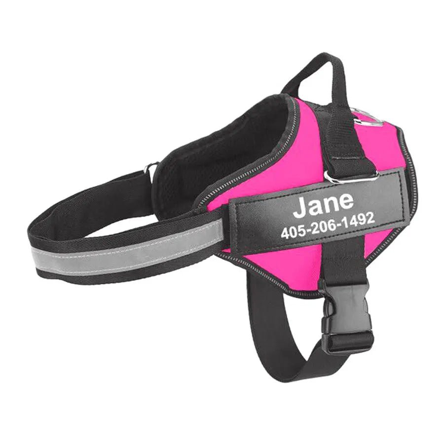 Hondentuig Gepersonaliseerd Reflecterend – Verstelbaar Nylon Hondenharnas - Duke & Scoop
