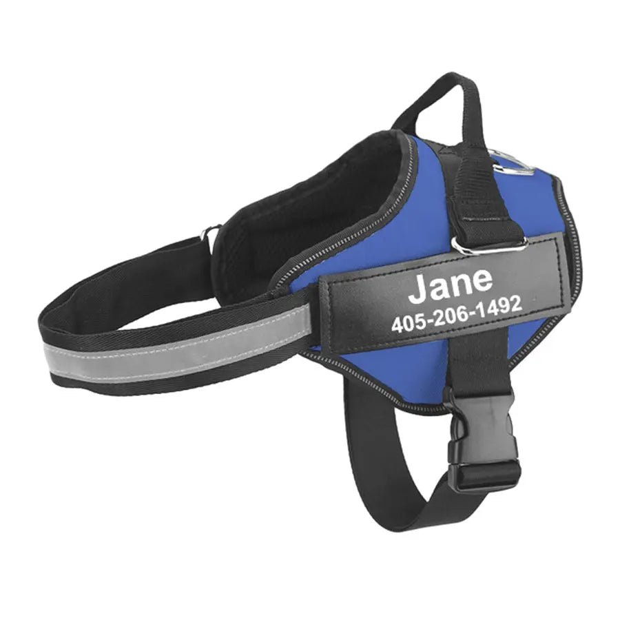 Hondentuig Gepersonaliseerd Reflecterend – Verstelbaar Nylon Hondenharnas - Duke & Scoop
