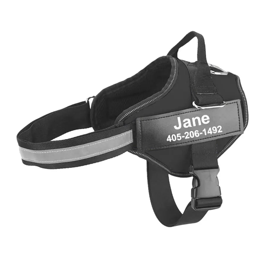 Hondentuig Gepersonaliseerd Reflecterend – Verstelbaar Nylon Hondenharnas - Duke & Scoop