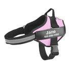 Hondentuig Gepersonaliseerd Reflecterend – Verstelbaar Nylon Hondenharnas - Duke & Scoop