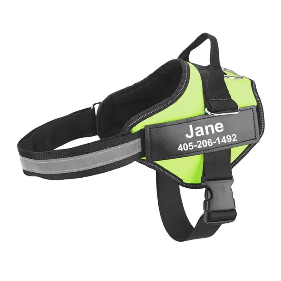Hondentuig Gepersonaliseerd Reflecterend – Verstelbaar Nylon Hondenharnas - Duke & Scoop
