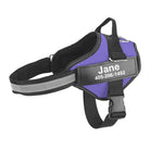 Hondentuig Gepersonaliseerd Reflecterend – Verstelbaar Nylon Hondenharnas - Duke & Scoop