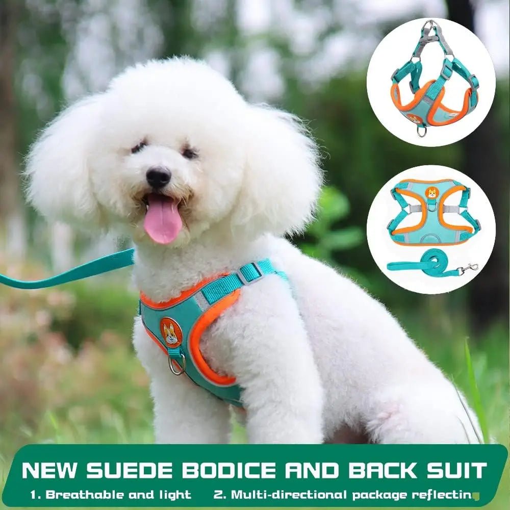 Hondentuig Reflecterend – Comfortabel Nylon Harnas voor Wandelen - Duke & Scoop