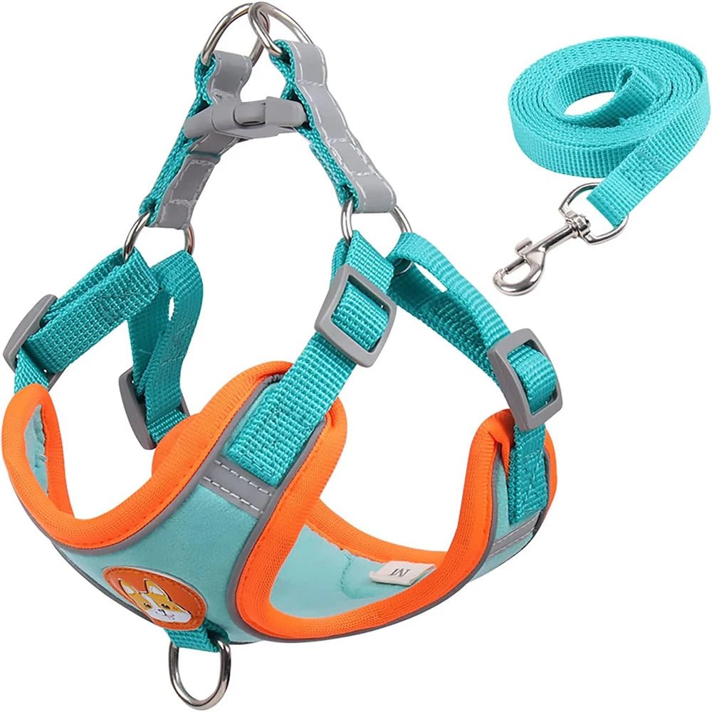 Hondentuig Reflecterend – Comfortabel Nylon Harnas voor Wandelen - Duke & Scoop