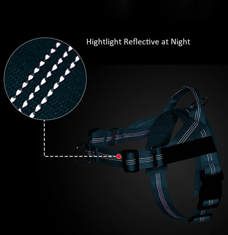 Hondentuig Reflecterend Verstelbaar – Gepersonaliseerd Harnas voor Wandelen - Duke & Scoop