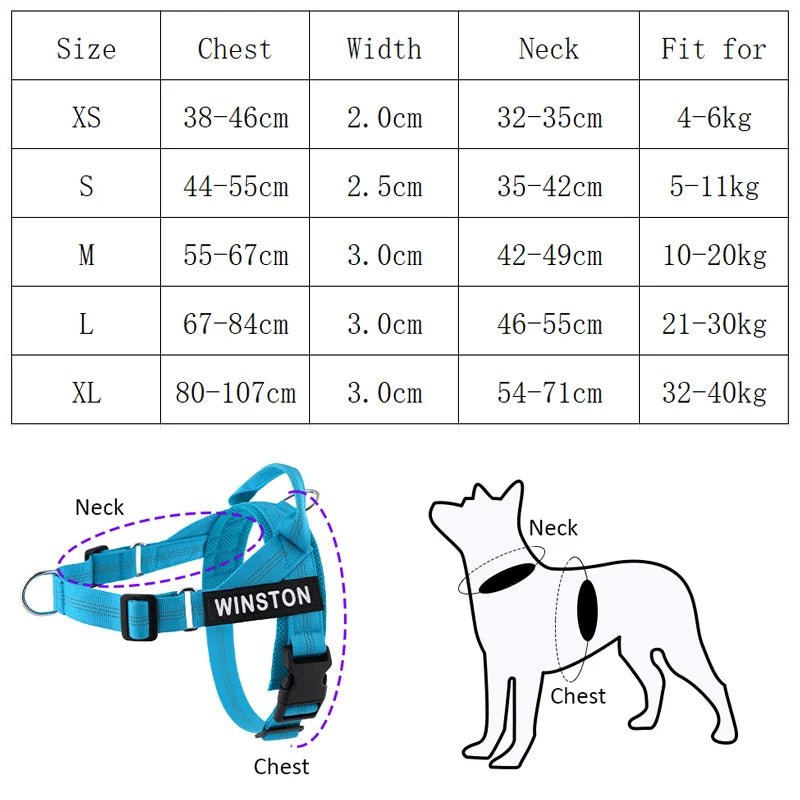 Hondentuig Reflecterend Verstelbaar – Gepersonaliseerd Harnas voor Wandelen - Duke & Scoop