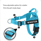 Hondentuig Reflecterend Verstelbaar – Gepersonaliseerd Harnas voor Wandelen - Duke & Scoop