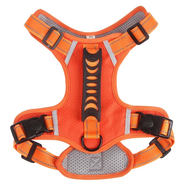 Hondentuig Reflecterend – Verstelbaar Nylon Harnas voor Wandelen - Duke & Scoop