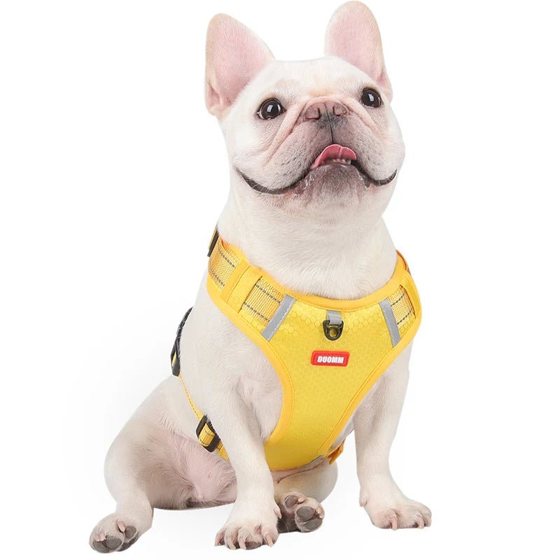 Hondentuig Reflecterend – Verstelbaar Nylon Harnas voor Wandelen - Duke & Scoop