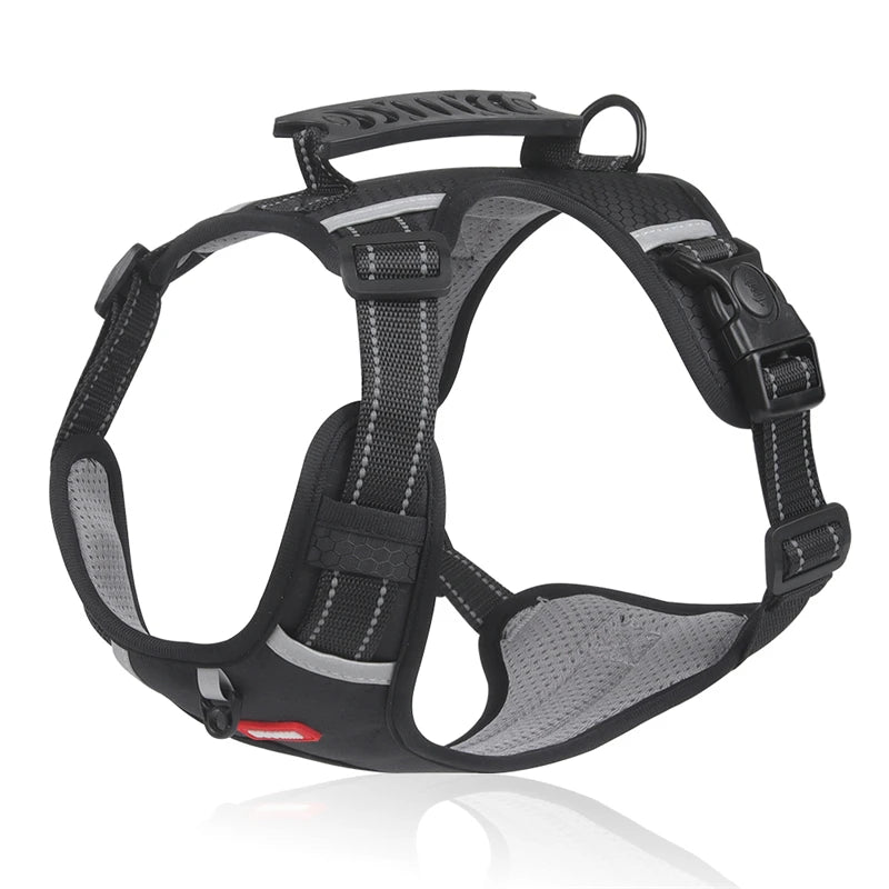 Hondentuig Reflecterend – Verstelbaar Nylon Harnas voor Wandelen - Duke & Scoop