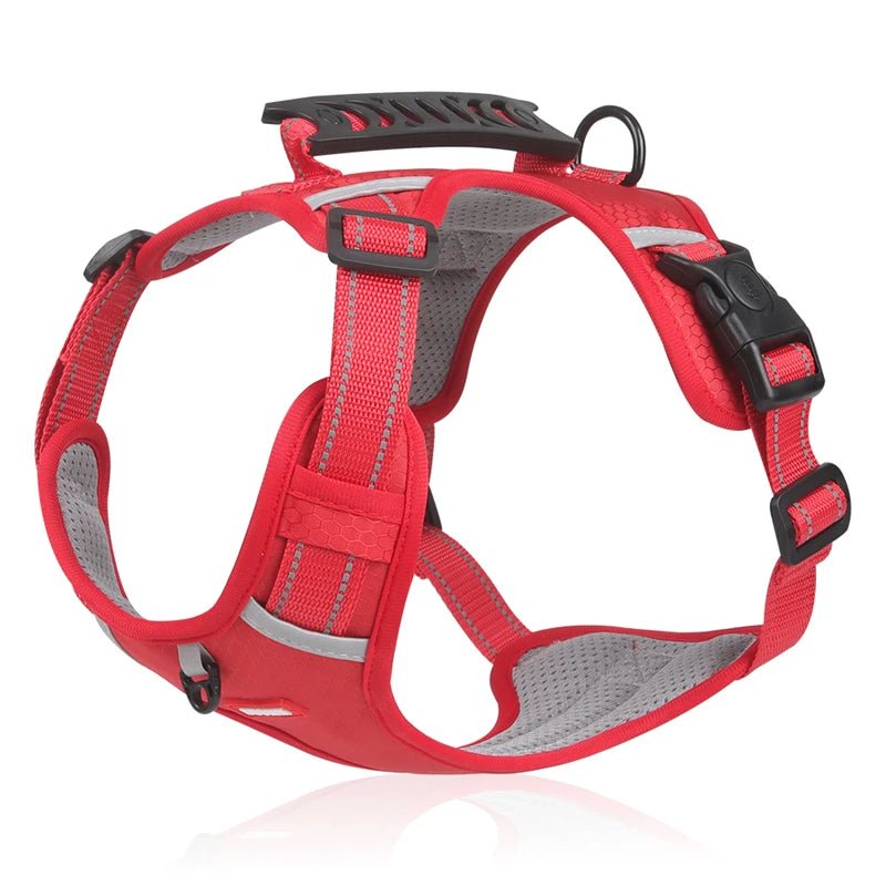 Hondentuig Reflecterend – Verstelbaar Nylon Harnas voor Wandelen - Duke & Scoop