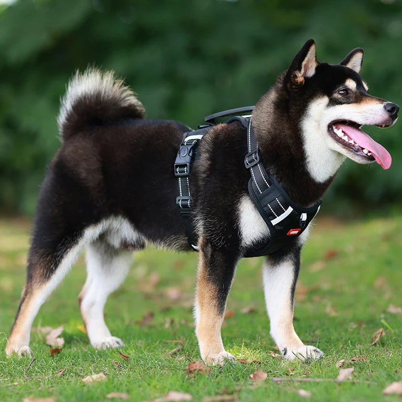 Hondentuig Reflecterend – Verstelbaar Nylon Harnas voor Wandelen - Duke & Scoop