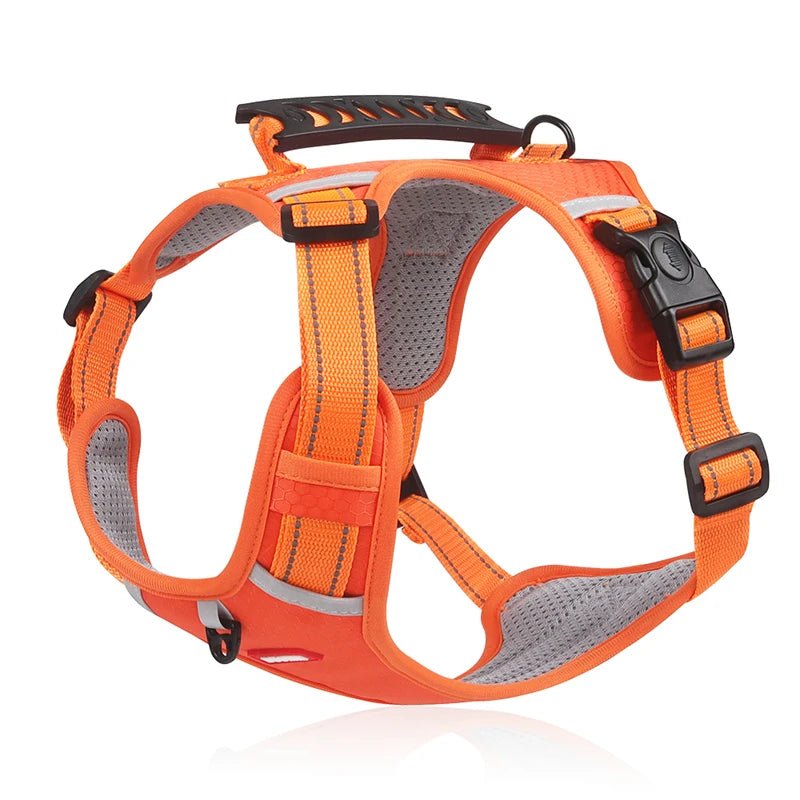 Hondentuig Reflecterend – Verstelbaar Nylon Harnas voor Wandelen - Duke & Scoop