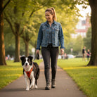 Hondentuig Reflecterend – Verstelbaar Nylon Harnas voor Wandelen - Duke & Scoop