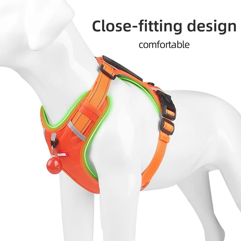 Hondentuig Reflecterend – Verstelbaar Nylon Harnas voor Wandelen - Duke & Scoop