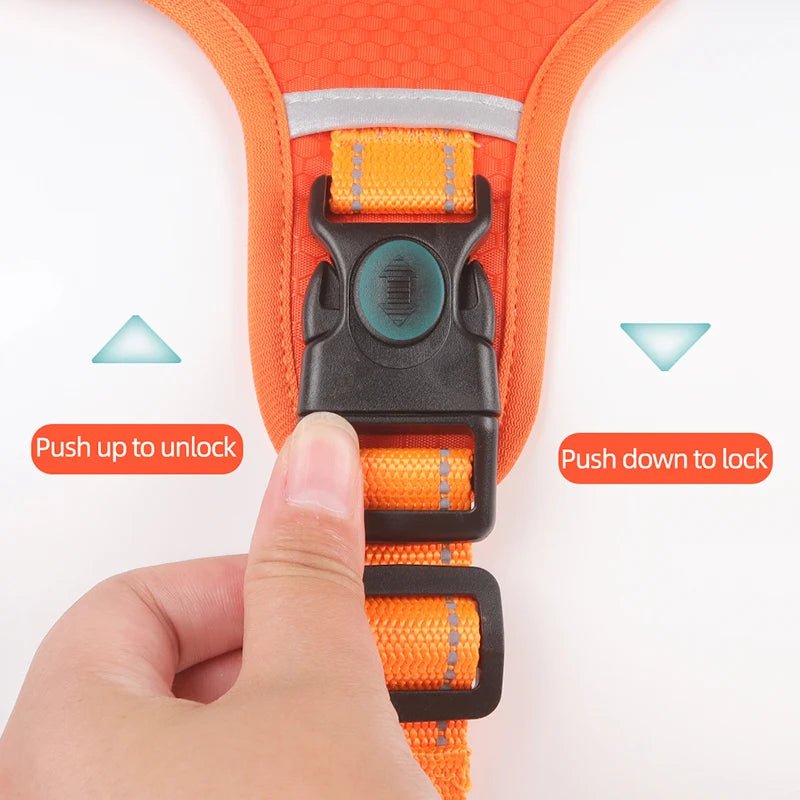 Hondentuig Reflecterend – Verstelbaar Nylon Harnas voor Wandelen - Duke & Scoop