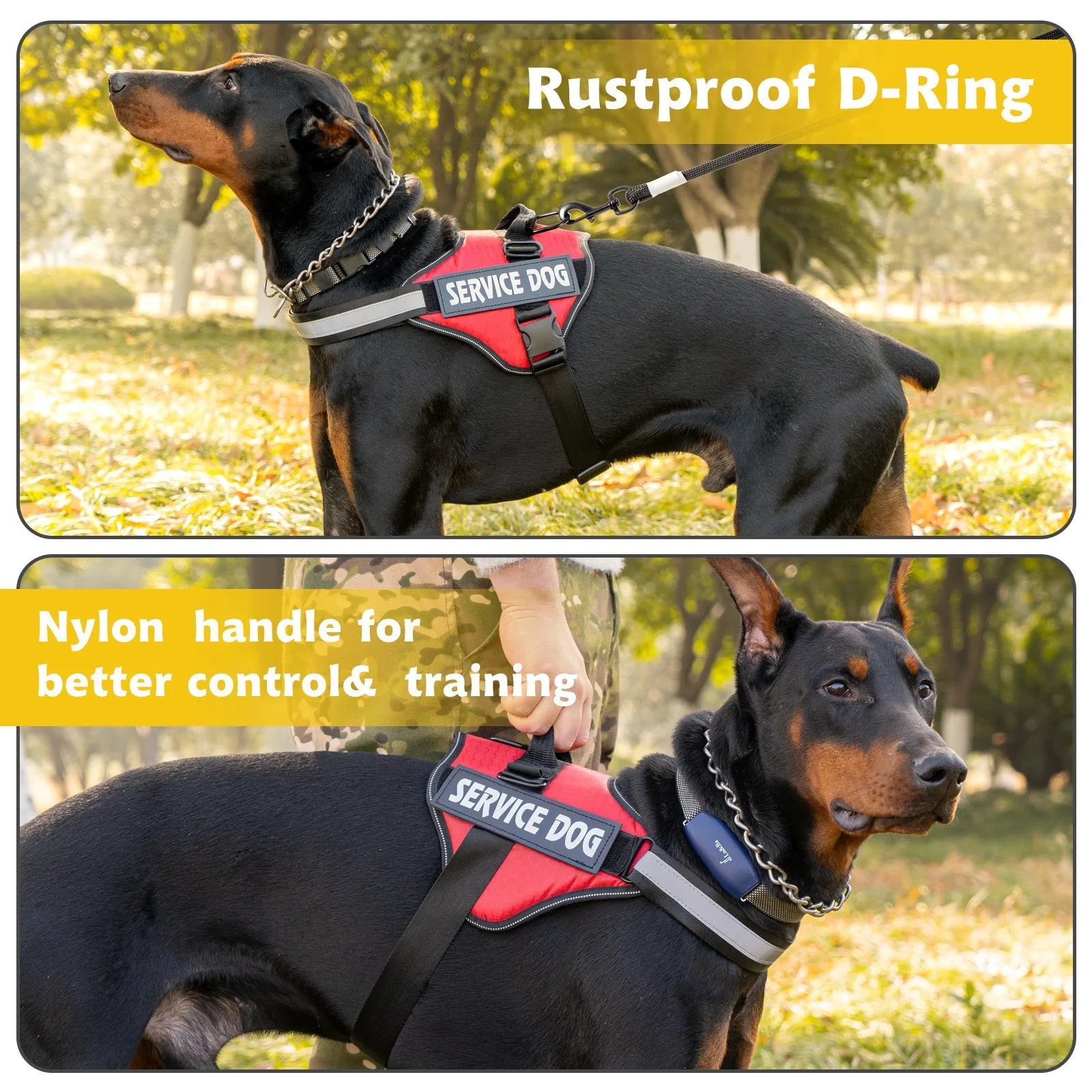 Hondentuig Reflecterend Verstelbaar – Sterk Polyester voor Wandelen - Duke & Scoop