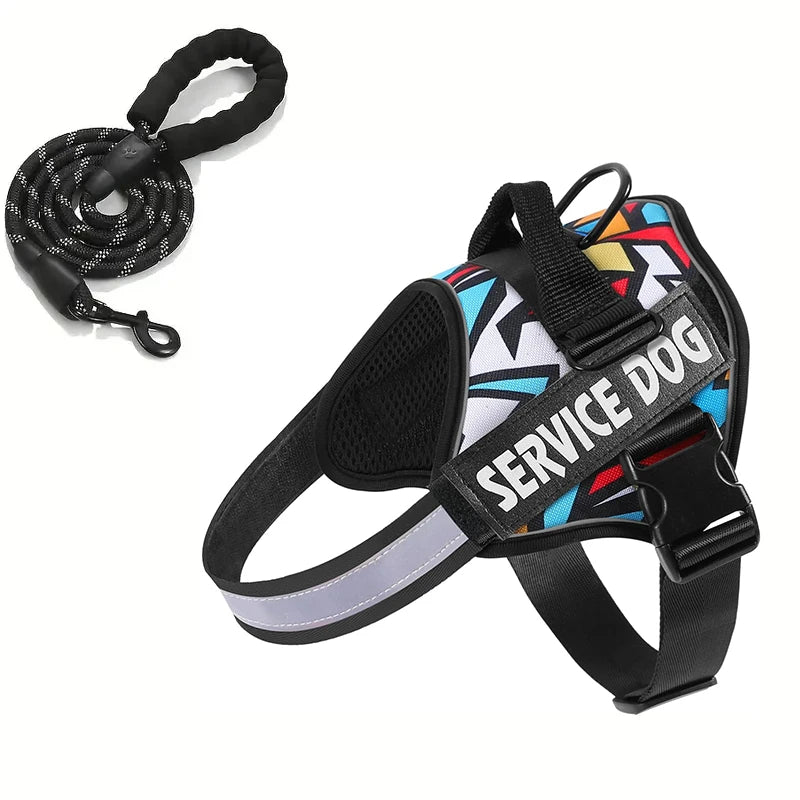 Hondentuig Reflecterend Verstelbaar – Sterk Polyester voor Wandelen - Duke & Scoop