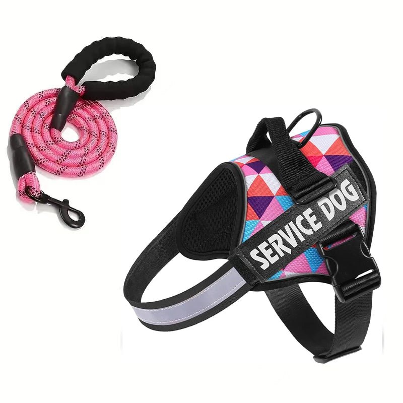 Hondentuig Reflecterend Verstelbaar – Sterk Polyester voor Wandelen - Duke & Scoop