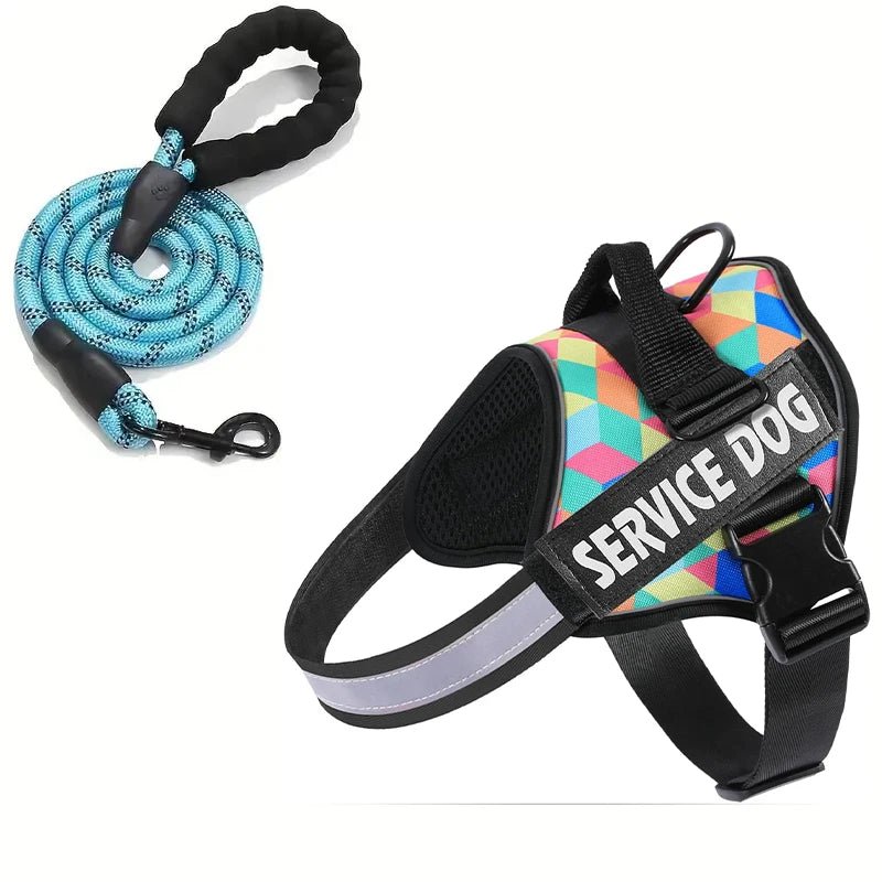 Hondentuig Reflecterend Verstelbaar – Sterk Polyester voor Wandelen - Duke & Scoop