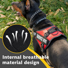 Hondentuig Reflecterend Verstelbaar – Sterk Polyester voor Wandelen - Duke & Scoop