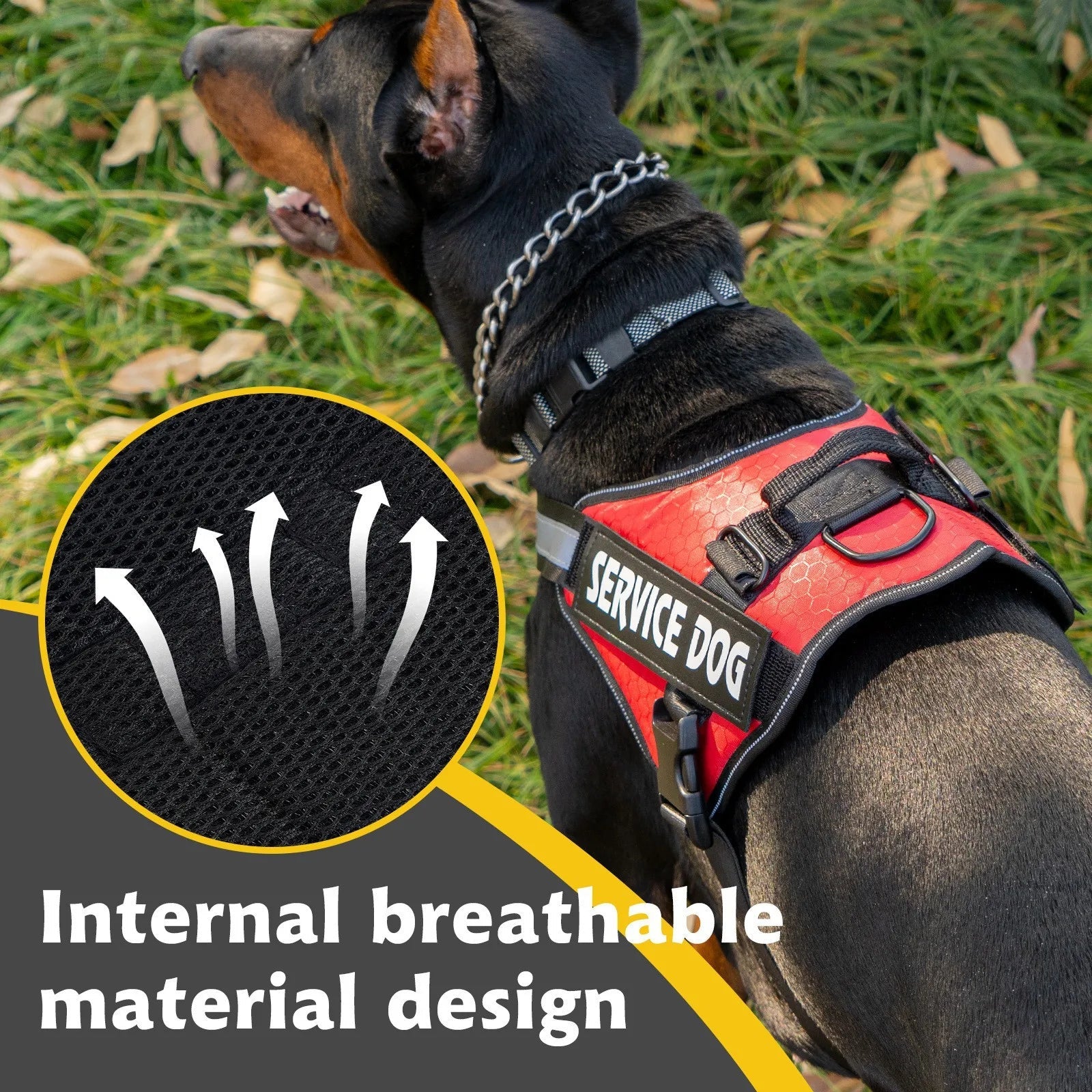 Hondentuig Reflecterend Verstelbaar – Sterk Polyester voor Wandelen - Duke & Scoop