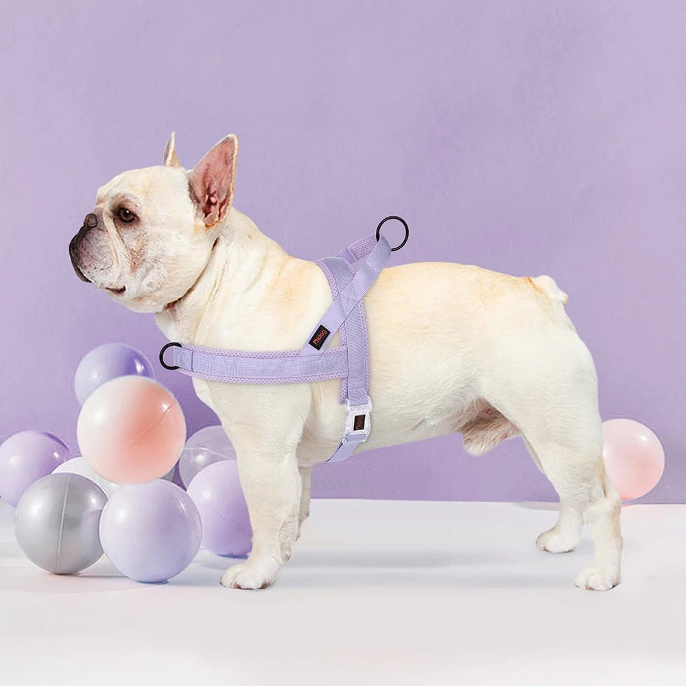 Hondentuig Verstelbaar – Nylon Gewatteerd Comfort - Tuigje voor Wandelen Honden - Duke & Scoop
