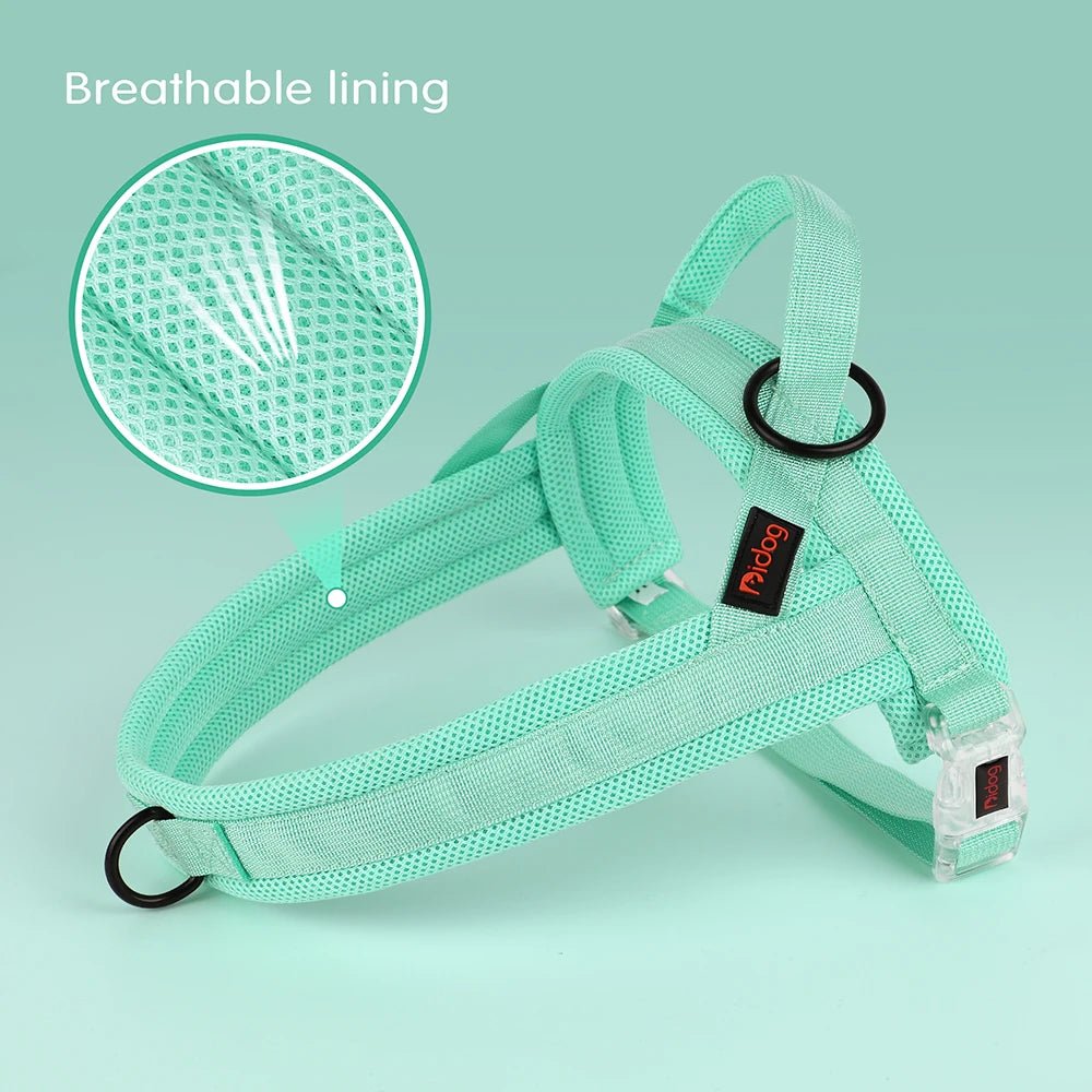 Hondentuig Verstelbaar – Nylon Gewatteerd Comfort - Tuigje voor Wandelen Honden - Duke & Scoop