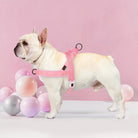 Hondentuig Verstelbaar – Nylon Gewatteerd Comfort - Tuigje voor Wandelen Honden - Duke & Scoop