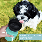 Hydrator – 500ml Reis Waterfles - Duke & Scoop