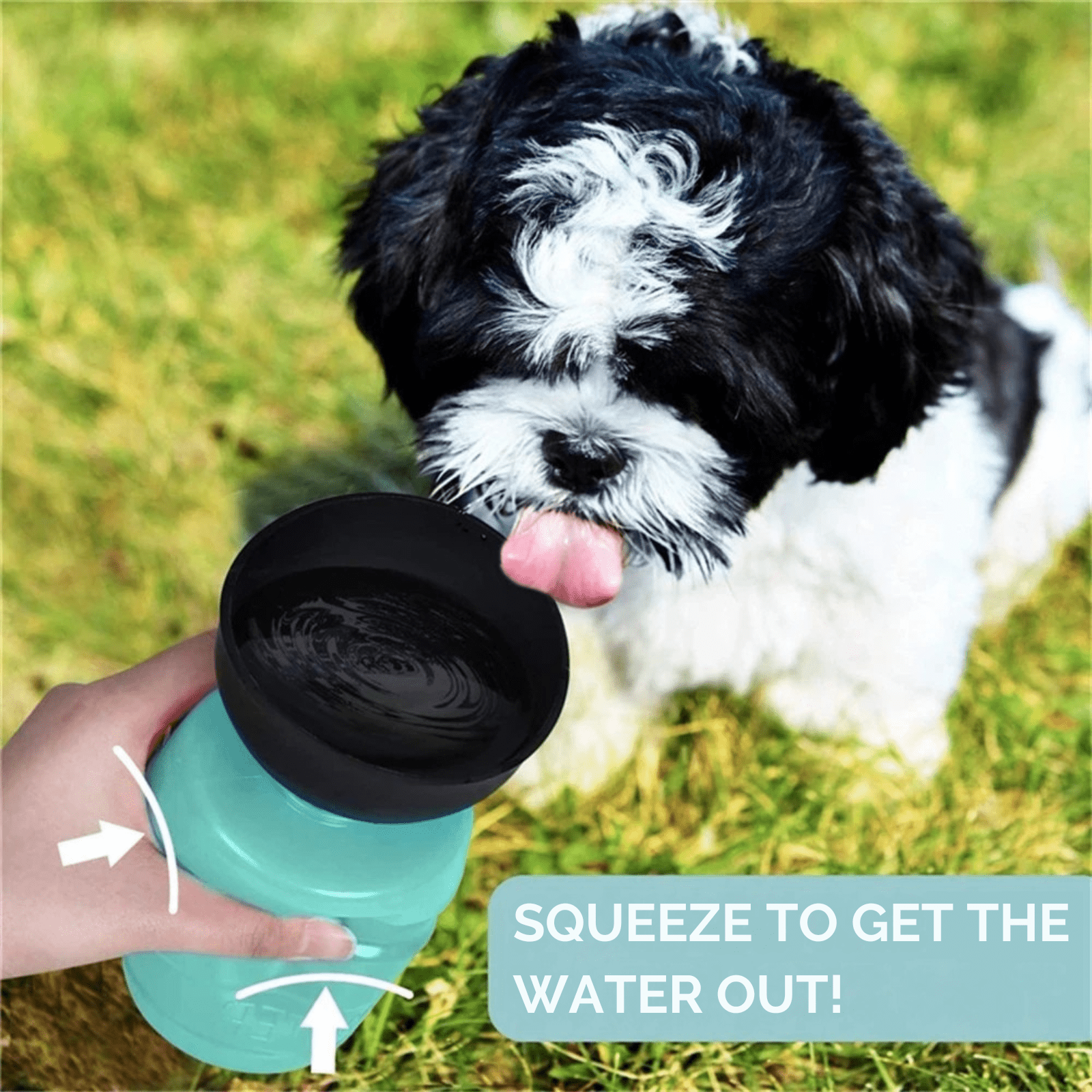 Hydrator – 500ml Reis Waterfles - Duke & Scoop