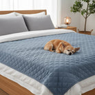 Incontinentie Hondendeken – Waterdicht Plasmat Katoen Voor Bank En Bed - Duke & Scoop