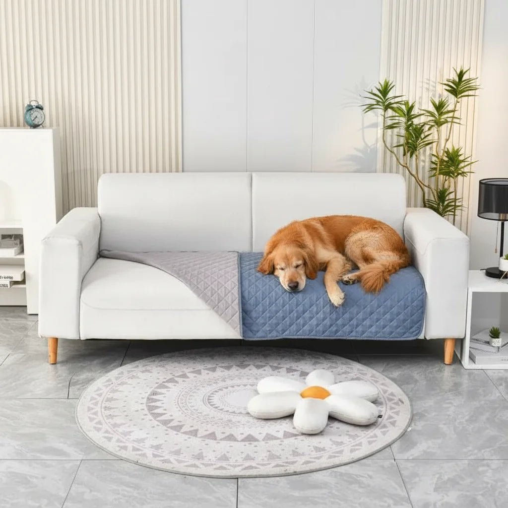 Incontinentie Hondendeken – Waterdicht Plasmat Katoen Voor Bank En Bed - Duke & Scoop