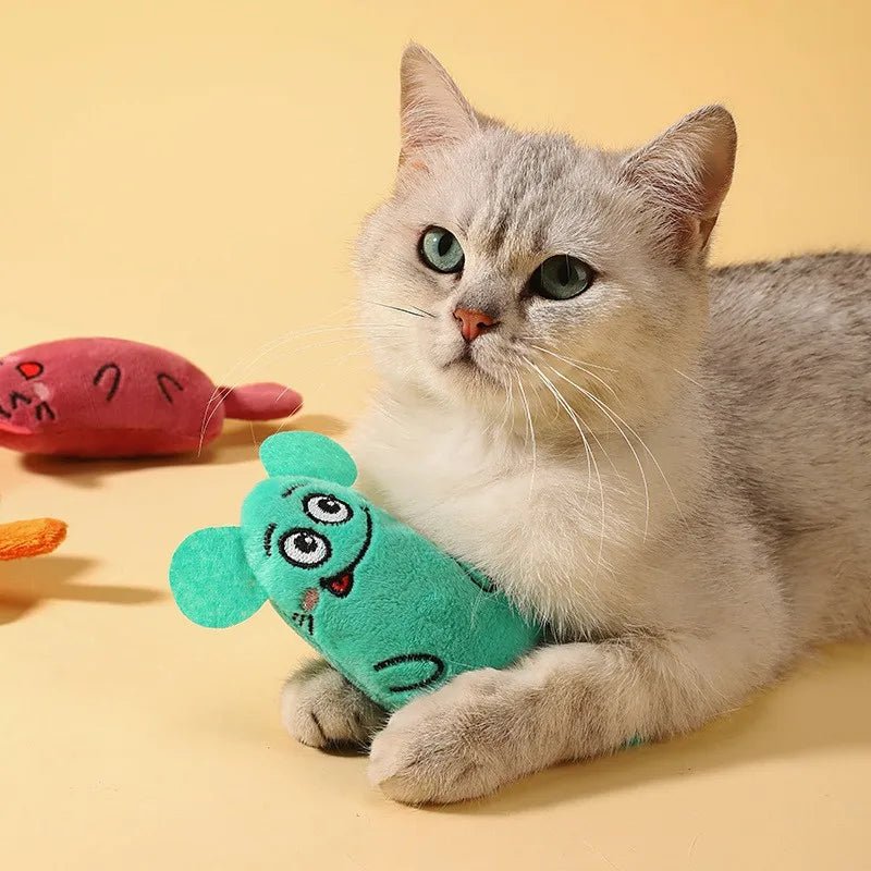 Interactief Kattenkruid Speelgoed Kat – Pluche Kauwspeeltje voor Katten - Duke & Scoop