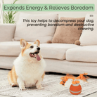 Interactieve Automatische Speelbal voor Honden - Duke & Scoop
