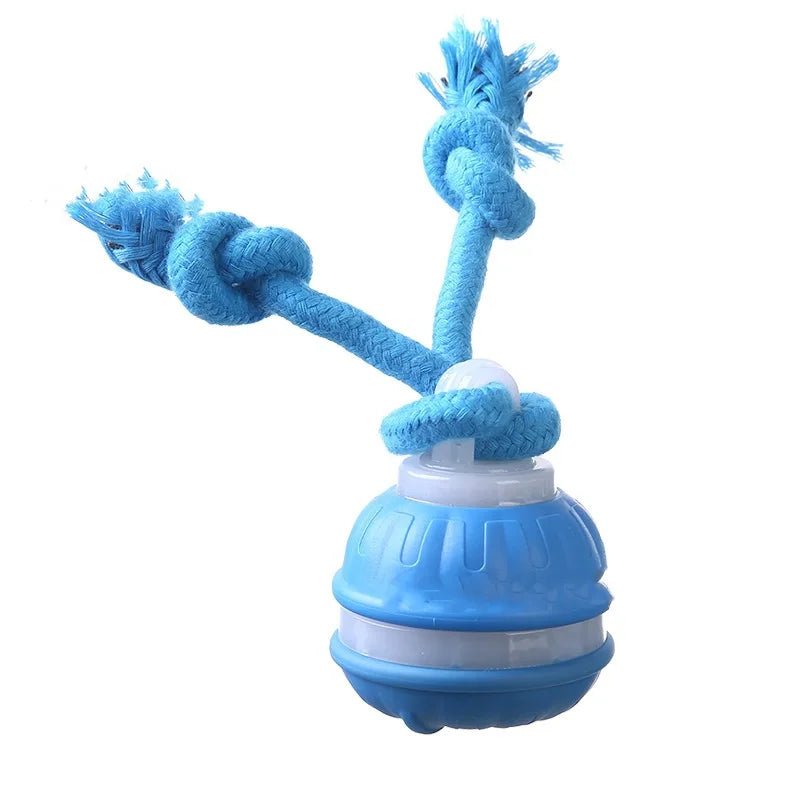 Interactieve Automatische Speelbal voor Honden - Duke & Scoop