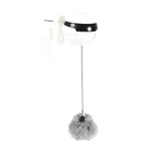 Interactieve Elektrische Kattenliftbal - Duke & Scoop