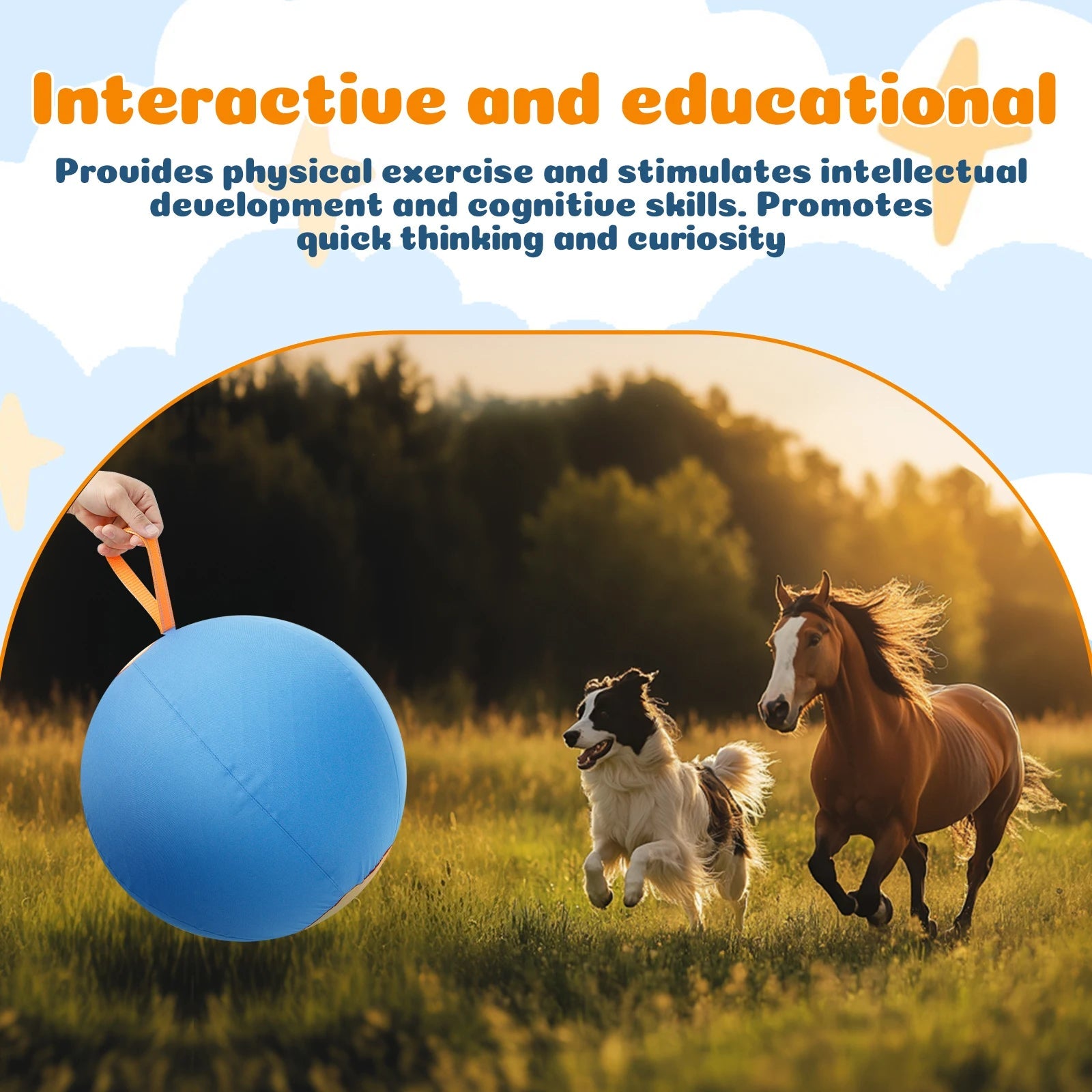Interactieve Herdersbal voor Honden - Duke & Scoop