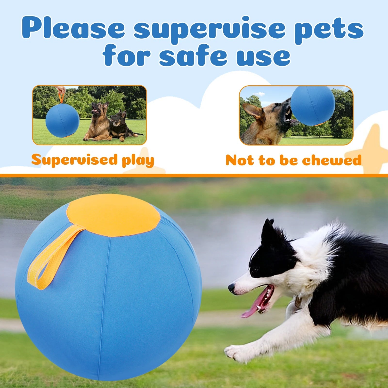 Interactieve Herdersbal voor Honden - Duke & Scoop