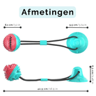 Interactieve Hondenbal met Zuignap & Touw - Duke & Scoop